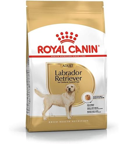 ロイヤルカナン ゴールデンレトリバー 成犬~高齢犬用 12kg