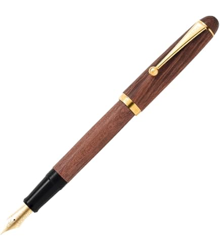 Amazon | PILOT 万年筆 マンネンヒツ カスタム743 B SFM ブラック