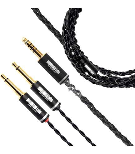 Amazon | FOSTEX プレミアム・ヘッドホン T60RPmk2用リケーブル ET-RP4