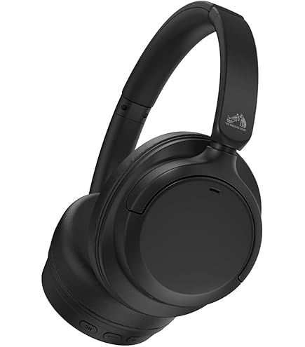 Amazon.co.jp: ケンウッド HS-5 オープンエア型ヘッドホン : 家電＆カメラ