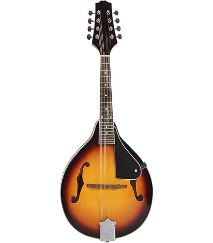 Amazon | 電子マンドリン, セット 8弦 マンドリン A-スタイル 弦楽器