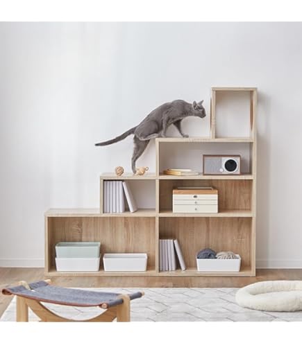 Amazon｜キャットウォーク 猫 家具 木製 猫タワー オープンラック 階段