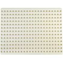 Amazon.co.jp: 三晃商会 SANKO C25 イージーホーム60 ハイメッシュ