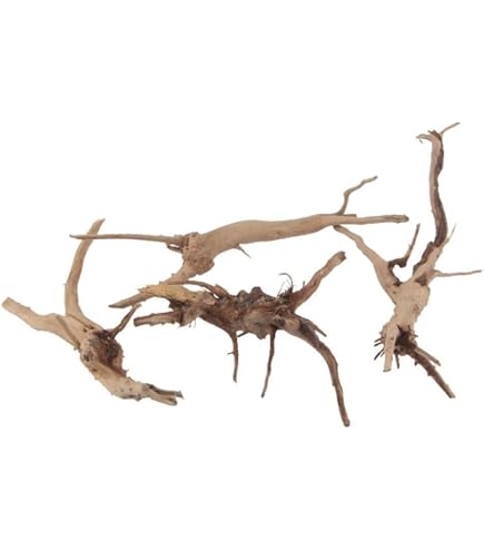 Amazon | Goldlife 流木 中 Mサイズ 2本セット スマトラウッド