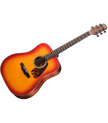 Amazon | Morris F-022 TS タバコサンバースト モーリス フォーク