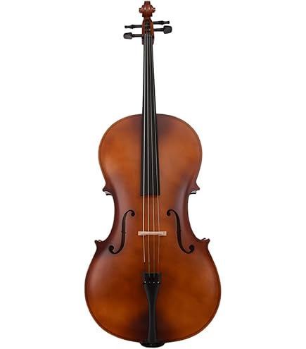 Amazon.co.jp: Hallstatt ハルシュタット チェロ HC-450 4/4サイズ