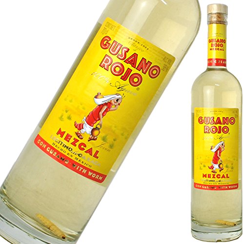 メキシコ名産のお酒「メスカル」とは？テキーラとの違いも解説