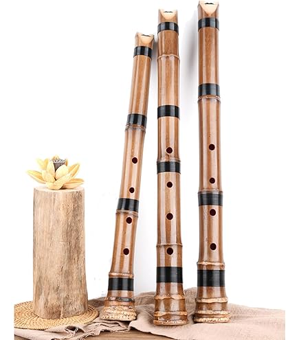 Amazon | プラ尺八「悠」&尺八入門都山系セット | 尺八 | 楽器・音響機器