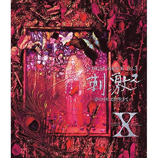 Amazon.co.jp: X JAPAN THE LAST LIVE 完全版 [Blu-ray] : X JAPAN: DVD