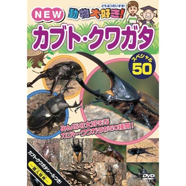 Amazon.co.jp: 激闘 カブト×クワガタ ~あつまれ!たたかう甲虫たち
