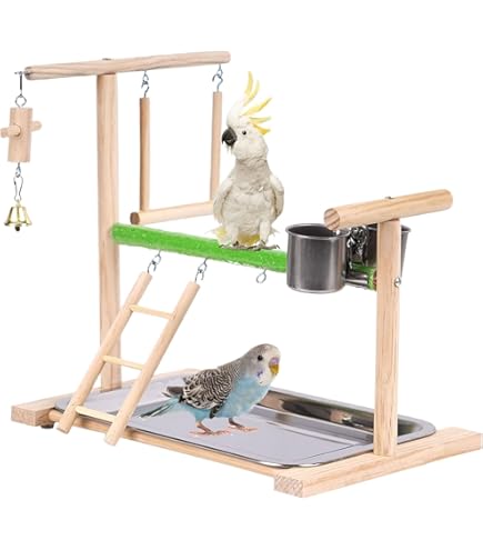 Amazon | Jinmoioy 天然木製 止まり木ジム 鳥の遊び場 鳥かごスタンド