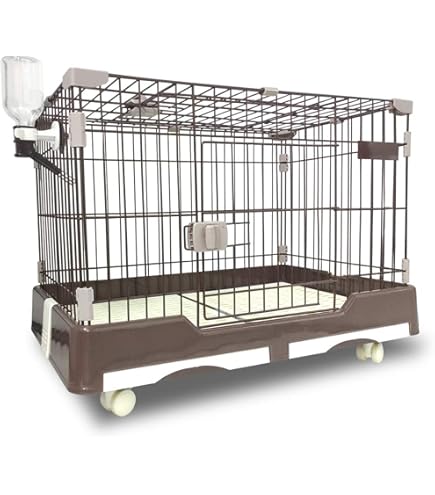 Amazon | マルカン フェレットのリビングルームキット MR-521