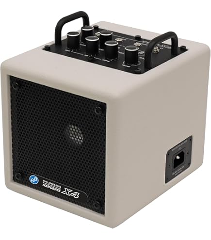 Phil Jones Bass /Bass CUB BG-100 ベースアンプ Phil Jones Bass BG