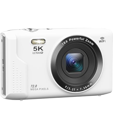 Amazon.co.jp: Panasonic Lumix FX2 Silver DMC-FX2-S : Electronics