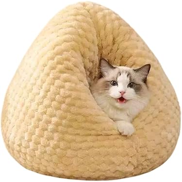 Amazon.co.jp 最新リリース: キャットタワー・ベッド・マット の新着