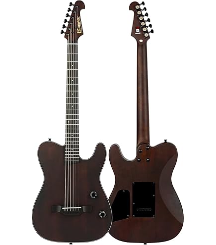 Amazon | SCHECTER OL-FL-P RNT Oriental Line シェクター 薄胴