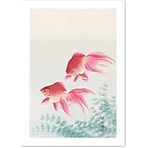 小原古邨「睡蓮に二匹の金魚」本物木版画 小原古邨「睡蓮