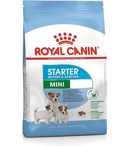 Amazon.co.jp: ロイヤルカナン ミニスターター マザー&ベビードッグ母