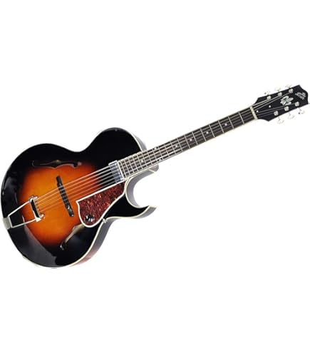 LOAR LH-280-C Vintage Sunburst フルアコ LOAR ( ロア ) LH-280-C
