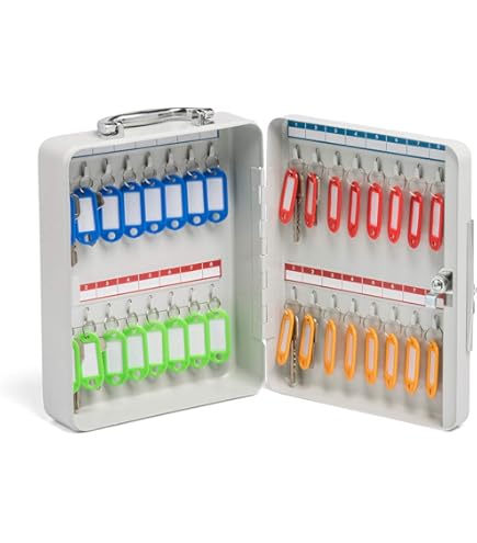 Amazon.co.jp: ライオン事務器 キーボックス 壁掛 No.80KB 2面 80個掛