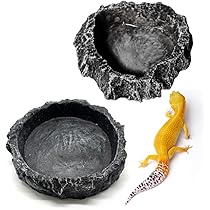 61QbFxAF9XL._AC_UL210_SR210,