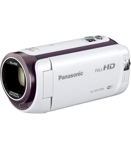 Panasonic HC-V300M 32GB デジタルビデオカメラ 概要 デジタル