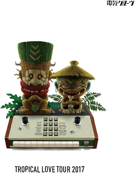 Amazon.co.jp: 電気グルーヴ25周年記念ツアー “塗糞祭