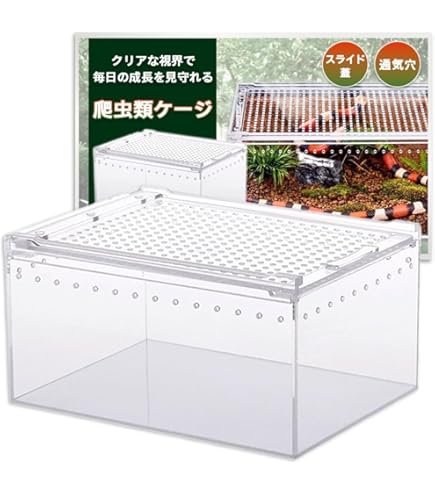 Amazon | レプタイルボックス | SANKO(三晃商会) | 飼育ケース・ケージ