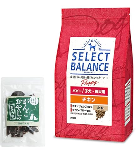 Amazon | ベッツチョイス セレクトバランス パピー チキン 小粒 子犬