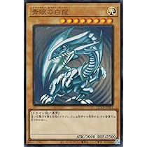 遊戯王 psa10 青眼の白龍 レリーフ 遊戯王 psa10 青眼の白龍 レリーフ