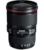 Amazon | Canon 超広角ズームレンズ EF8-15mm F4L フィッシュアイ USM