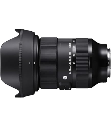 Amazon.co.jp: SIGMA シグマ Sony Eマウント レンズ 14mm F1.8 DG HSM