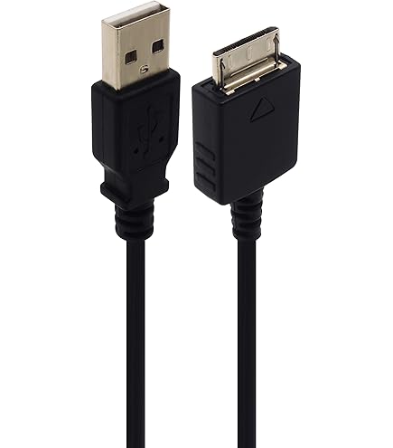 Amazon.co.jp: ソニー ダイレクト録音キット ウォークマン用/録音用