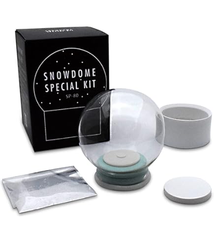 Amazon.co.jp: 金津沙矢香 スノードーム 今年作 最安値 : おもちゃ