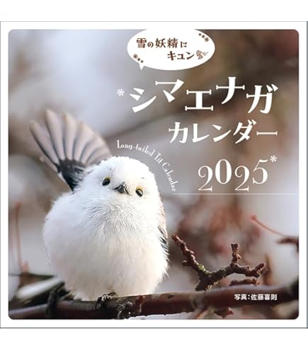 シーグラスアート シマエナガ トイレ表札インテリア雑貨 壁掛け 誕生日