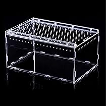 61n61iPSWgL._AC_UL210_SR210,