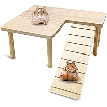 Amazon | Ruexue ハムスターケージ＆モルモット、小動物ペット用の完全