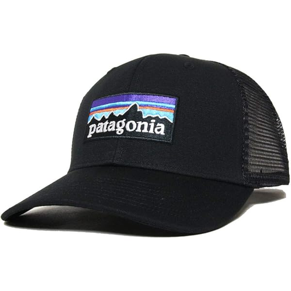 Amazon.co.jp: [パタゴニア] Tin Shed Hat OS ティン・シェッド