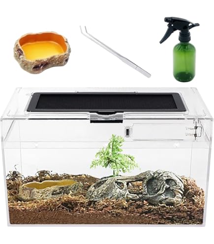 Amazon | Niesporek 爬虫類 トカゲ ケージ カナヘビ飼育ケース