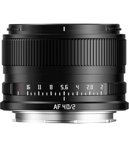 Amazon.co.jp: TTArtisan 50mm F2 Lマウント MF 単焦点レンズ フル