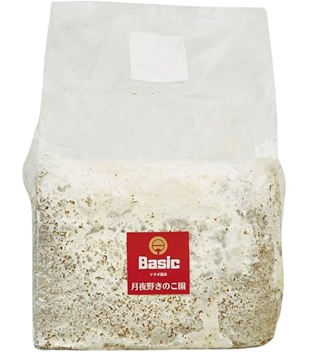 6個セット菌糸ブロック LEVIN-G3500 EXCEED CRAFT .: 6