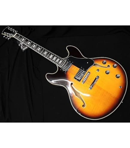 Amazon | Sire Larry Carlton H7 VS サイアー ラリーカールトン