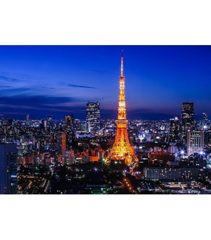 岡田准一「東京タワー」DVD販促用B2サイズポスター（非売品・新品