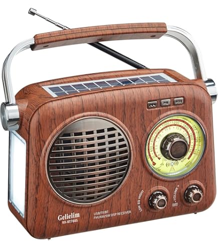 Amazon.co.jp: National ナショナル 松下電器産業 R-1088 ブルー ミニ