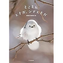シマエナガちゃんの日々 - ぼくはここにいるよ - (ワニプラス) | 小原