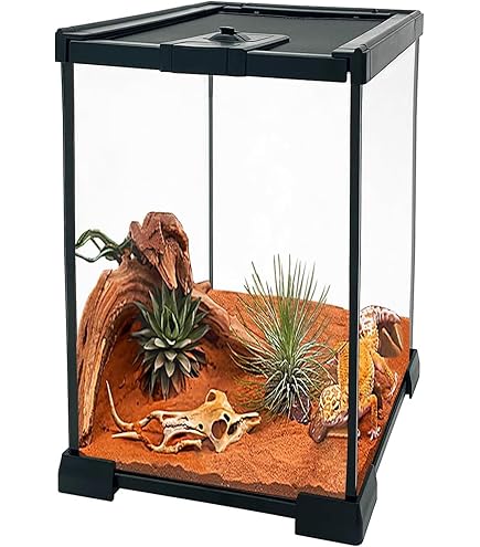 KAYUSO ガラス飼育ケージ 50x30x35 cm KAYUSO ガラス飼育ケージ