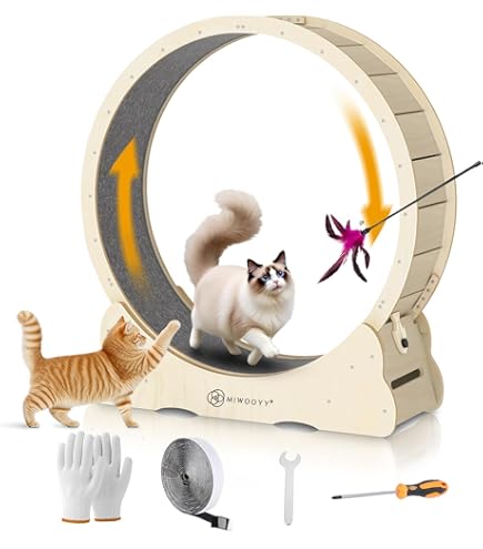 Amazon | ○B-blast キャットホイール ビーブラスト 猫用品 おもちゃ