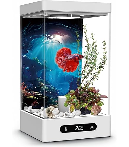 テトラ ウォーター フォール アクアリウム カラー本日深夜まで価格を