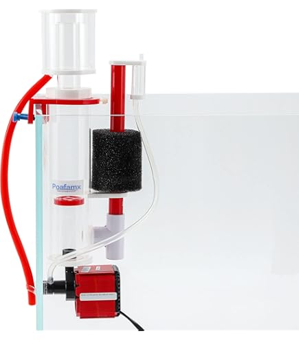 Amazon.co.jp: ゼンスイ エターナルナノスキマー QQ1（キュー