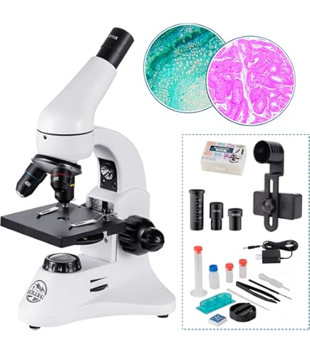 Amazon.co.jp: ビクセン ミクロスコープ 300倍 : 家電＆カメラ